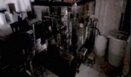 长春养猪场爆料案件最新,揭开养殖行业黑幕背后的惊人真相