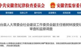 大皖新闻爆料地址在哪里,揭秘事件背后神秘地址