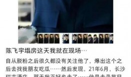 陈飞宇爆料再度升级视频,揭秘娱乐圈幕后真相